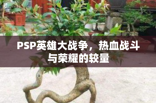 PSP英雄大战争,热血战斗与荣耀的较量 PSP英雄大战争,热血战斗与荣耀的较量