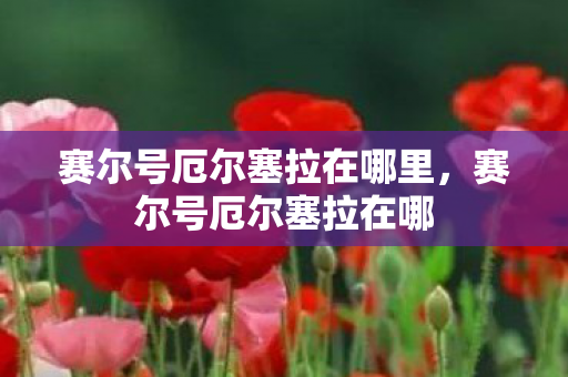 赛尔号厄尔塞拉在哪里,赛尔号厄尔塞拉在哪 赛尔号厄尔塞拉在哪里,赛尔号厄尔塞拉在哪