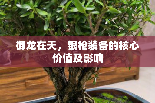 御龙在天,银枪装备的核心价值及影响 御龙在天,银枪装备的核心价值及影响