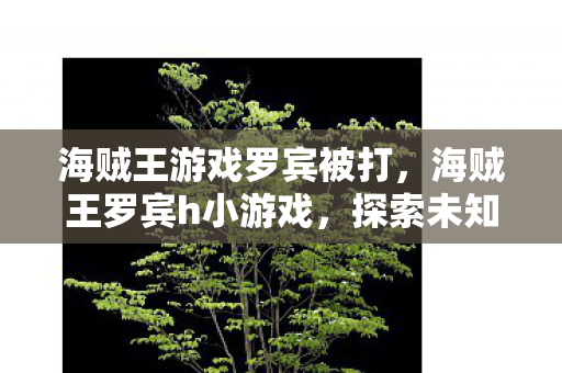 海贼王游戏罗宾被打，海贼王罗宾h小游戏，探索未知世界的冒险之旅