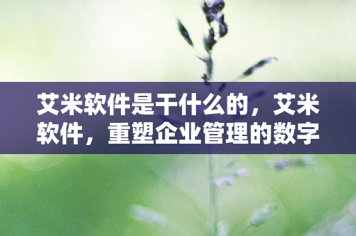 艾米软件是干什么的,艾米软件,重塑企业管理的数字化新篇章 艾米软件是干什么的,艾米软件,重塑企业管理的数字化新篇章