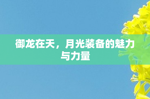 御龙在天,月光装备的魅力与力量 御龙在天,月光装备的魅力与力量