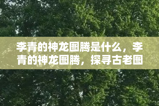 李青的神龙图腾是什么，李青的神龙图腾，探寻古老图腾背后的文化意义