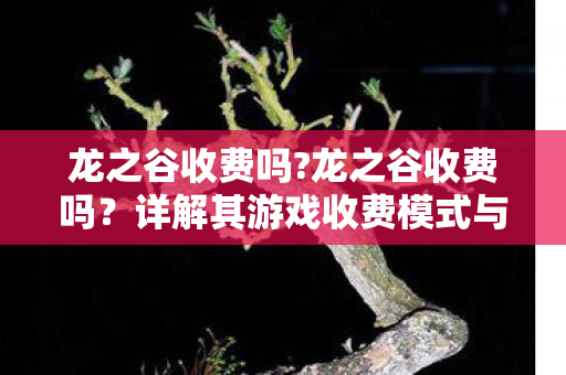 龙之谷收费吗?龙之谷收费吗?详解其游戏收费模式与玩家体验 龙之谷收费吗?龙之谷收费吗?详解其游戏收费模式与玩家体验