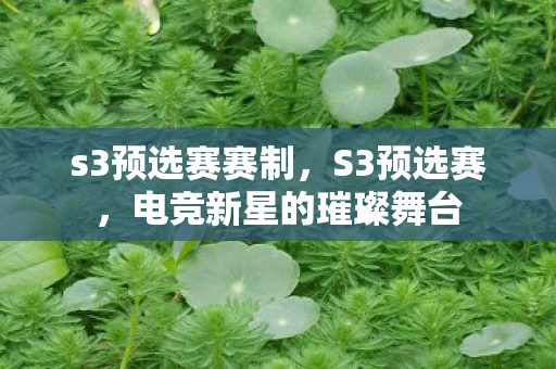 s3预选赛赛制，S3预选赛，电竞新星的璀璨舞台