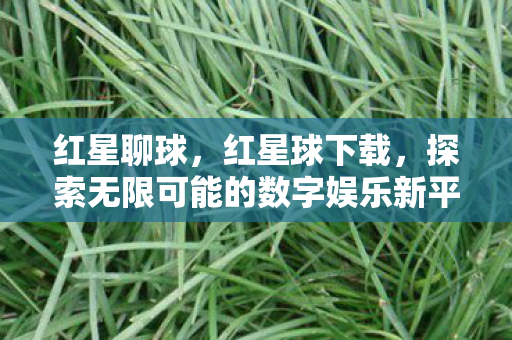 红星聊球，红星球下载，探索无限可能的数字娱乐新平台