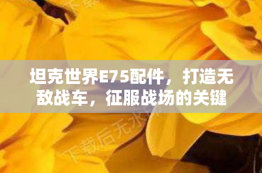 坦克世界E75配件，打造无敌战车，征服战场的关键