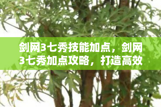 剑网3七秀技能加点,剑网3七秀加点攻略,打造高效战斗与优雅输出的平衡 剑网3七秀技能加点,剑网3七秀加点攻略,打造高效战斗与优雅输出的平衡