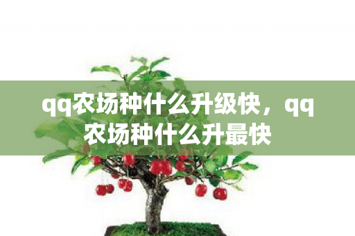 qq农场种什么升级快,qq农场种什么升最快 qq农场种什么升级快,qq农场种什么升最快