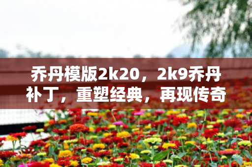 乔丹模版2k20，2k9乔丹补丁，重塑经典，再现传奇
