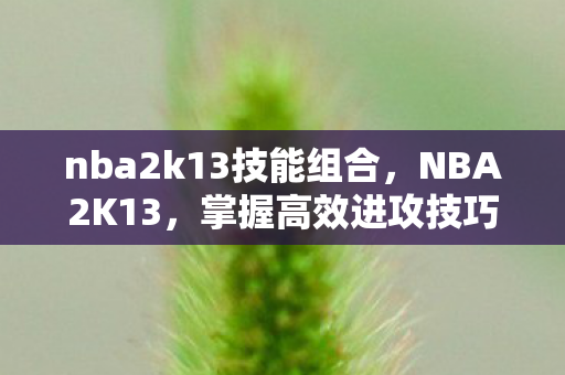 nba2k13技能组合,NBA2K13,掌握高效进攻技巧,提升你的游戏水平 nba2k13技能组合,NBA2K13,掌握高效进攻技巧,提升你的游戏水平