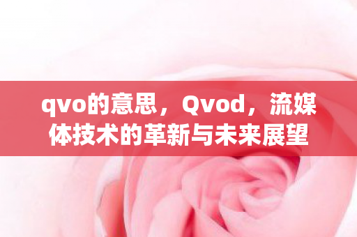 qvo的意思，Qvod，流媒体技术的革新与未来展望