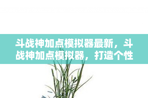 斗战神加点模拟器最新，斗战神加点模拟器，打造个性化角色，提升战斗力的神器