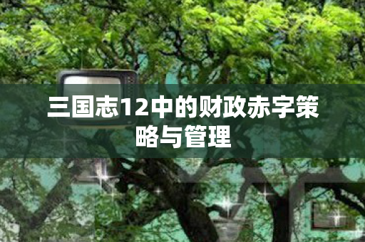 三国志12中的财政赤字策略与管理 三国志12中的财政赤字策略与管理