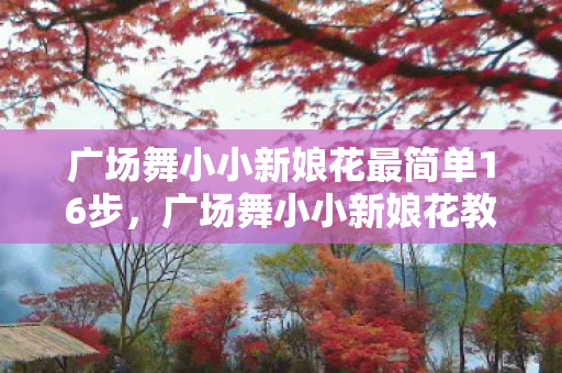广场舞小小新娘花最简单16步，广场舞小小新娘花教学