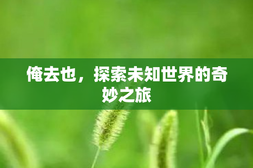 俺去也,探索未知世界的奇妙之旅 俺去也,探索未知世界的奇妙之旅