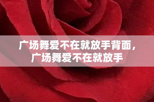 广场舞爱不在就放手背面，广场舞爱不在就放手
