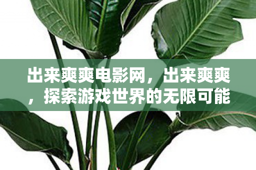 出来爽爽电影网,出来爽爽,探索游戏世界的无限可能 出来爽爽电影网,出来爽爽,探索游戏世界的无限可能