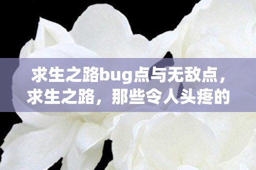 求生之路bug点与无敌点，求生之路，那些令人头疼的bug