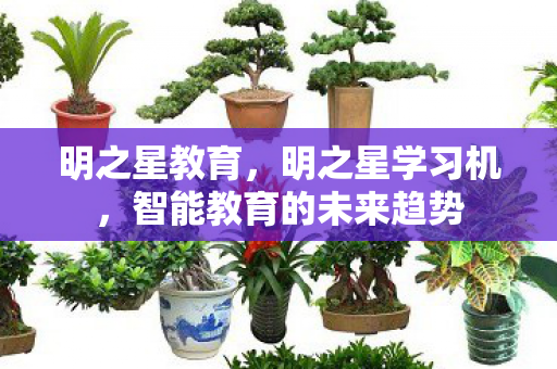 明之星教育，明之星学习机，智能教育的未来趋势