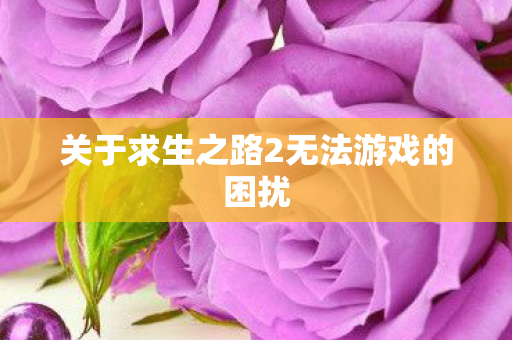 关于求生之路2无法游戏的困扰 关于求生之路2无法游戏的困扰