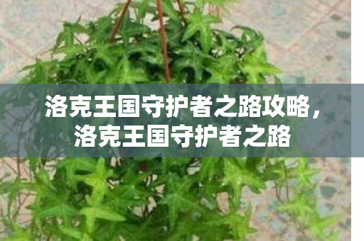 洛克王国守护者之路攻略,洛克王国守护者之路 洛克王国守护者之路攻略,洛克王国守护者之路