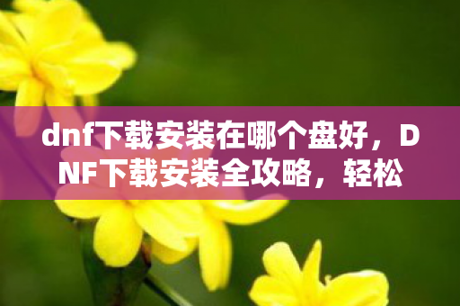dnf下载安装在哪个盘好，DNF下载安装全攻略，轻松上手，畅游阿拉德大陆