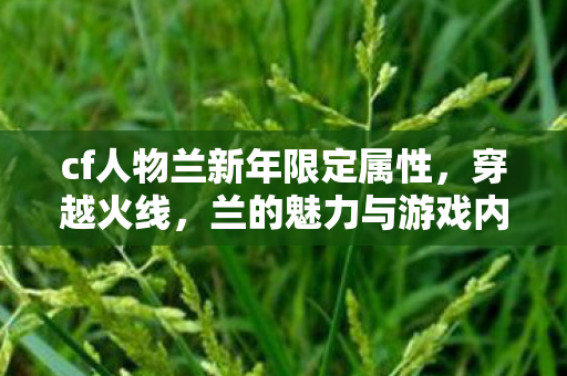 cf人物兰新年限定属性，穿越火线，兰的魅力与游戏内外的故事