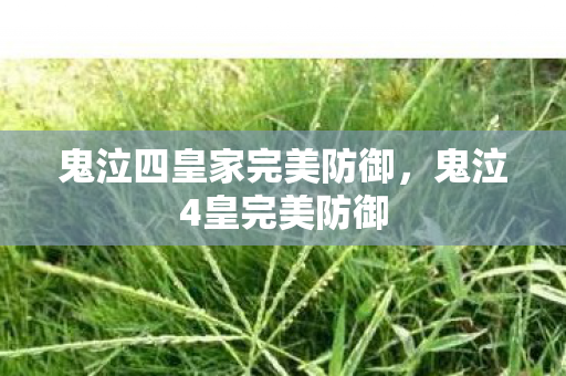 鬼泣四皇家完美防御，鬼泣4皇完美防御