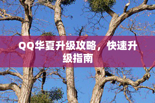 QQ华夏升级攻略,快速升级指南 QQ华夏升级攻略,快速升级指南
