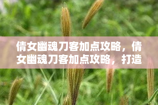 倩女幽魂刀客加点攻略，倩女幽魂刀客加点攻略，打造高效战斗力的关键
