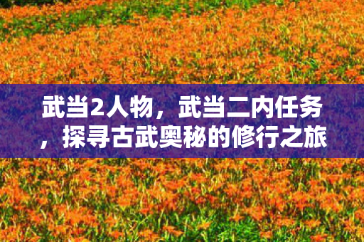 武当2人物，武当二内任务，探寻古武奥秘的修行之旅