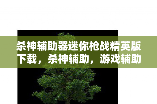杀神辅助器迷你枪战精英版下载,杀神辅助,游戏辅助工具的正确使用与注意事项 杀神辅助器迷你枪战精英版下载,杀神辅助,游戏辅助工具的正确使用与注意事项