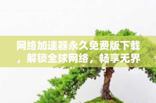 网络加速器永久免费版下载,解锁全球网络,畅享无界体验 网络加速器永久免费版下载,解锁全球网络,畅享无界体验