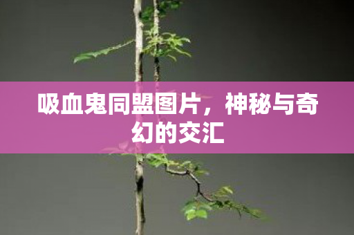 吸血鬼同盟图片,神秘与奇幻的交汇 吸血鬼同盟图片,神秘与奇幻的交汇