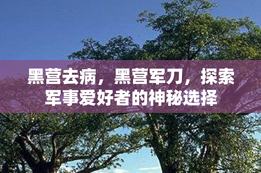黑营去病,黑营军刀,探索军事爱好者的神秘选择 黑营去病,黑营军刀,探索军事爱好者的神秘选择
