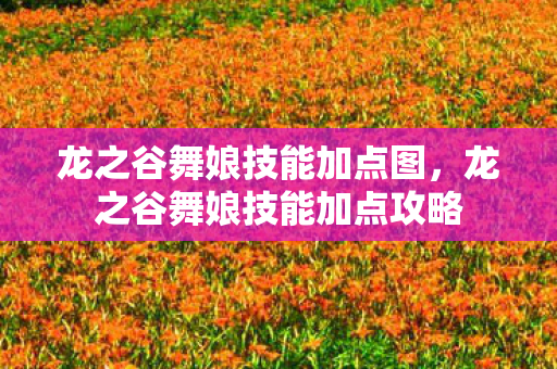 龙之谷舞娘技能加点图,龙之谷舞娘技能加点攻略 龙之谷舞娘技能加点图,龙之谷舞娘技能加点攻略