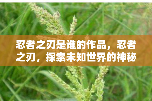 忍者之刃是谁的作品,忍者之刃,探索未知世界的神秘之旅 忍者之刃是谁的作品,忍者之刃,探索未知世界的神秘之旅
