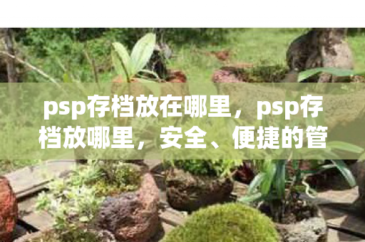 psp存档放在哪里，psp存档放哪里，安全、便捷的管理指南