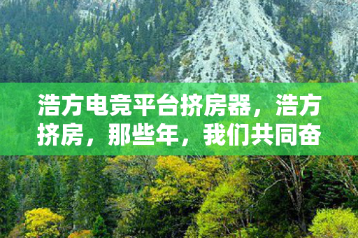 浩方电竞平台挤房器,浩方挤房,那些年,我们共同奋斗过的战场 浩方电竞平台挤房器,浩方挤房,那些年,我们共同奋斗过的战场