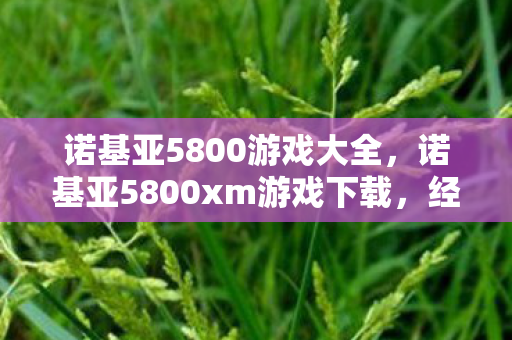 诺基亚5800游戏大全，诺基亚5800xm游戏下载，经典再现，重温旧梦