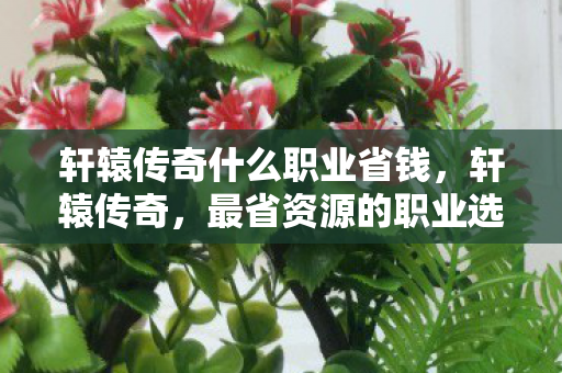 轩辕传奇什么职业省钱,轩辕传奇,最省资源的职业选择指南 轩辕传奇什么职业省钱,轩辕传奇,最省资源的职业选择指南