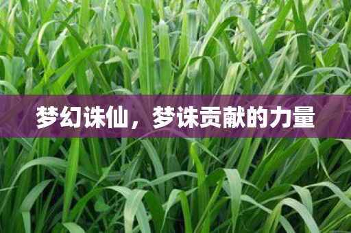 梦幻诛仙，梦诛贡献的力量