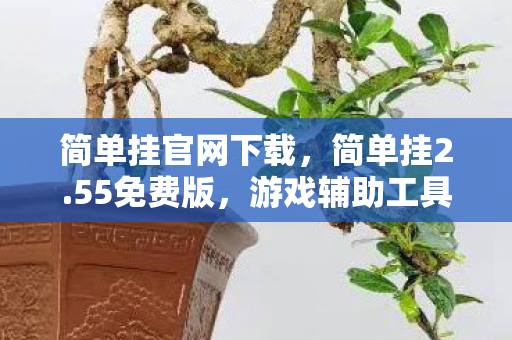 简单挂官网下载，简单挂2.55免费版，游戏辅助工具的新选择