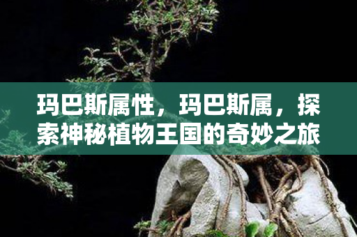 玛巴斯属性,玛巴斯属,探索神秘植物王国的奇妙之旅 玛巴斯属性,玛巴斯属,探索神秘植物王国的奇妙之旅