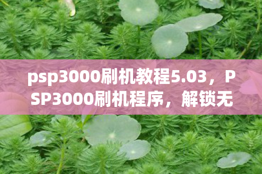 psp3000刷机教程5.03,PSP3000刷机程序,解锁无限可能的娱乐神器 psp3000刷机教程5.03,PSP3000刷机程序,解锁无限可能的娱乐神器