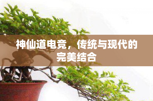 神仙道电竞,传统与现代的完美结合 神仙道电竞,传统与现代的完美结合