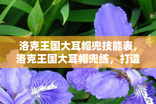洛克王国大耳帽兜技能表，洛克王国大耳帽兜练，打造最强宠物阵容
