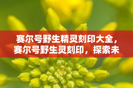 赛尔号野生精灵刻印大全，赛尔号野生灵刻印，探索未知世界的神秘力量