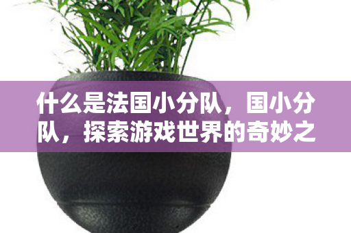 什么是法国小分队，国小分队，探索游戏世界的奇妙之旅
